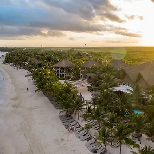 Lirios Hotel Tulum