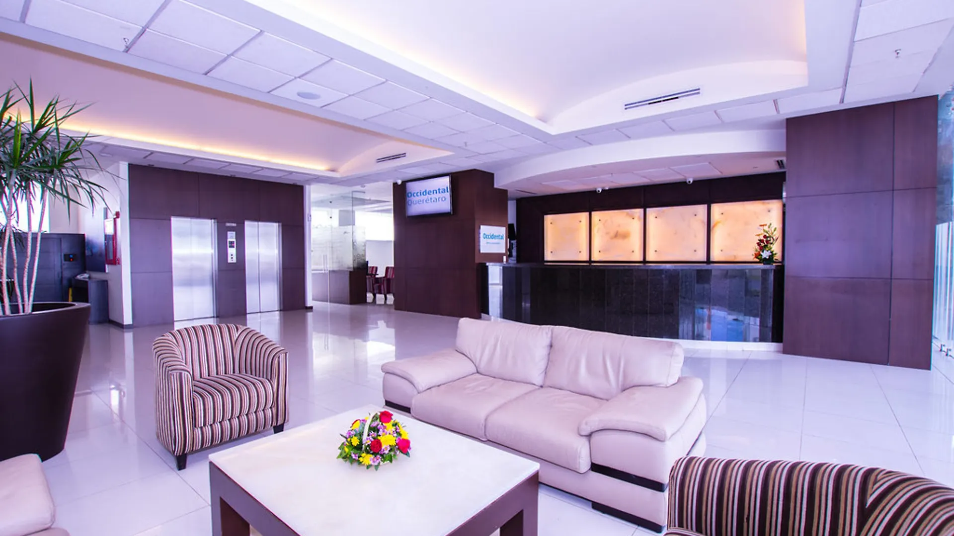 Occidental Querétaro - Barceló Hotel Group